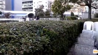 《欧美人与禽交片mp4》电视剧完整版在线-古装剧-星空影视